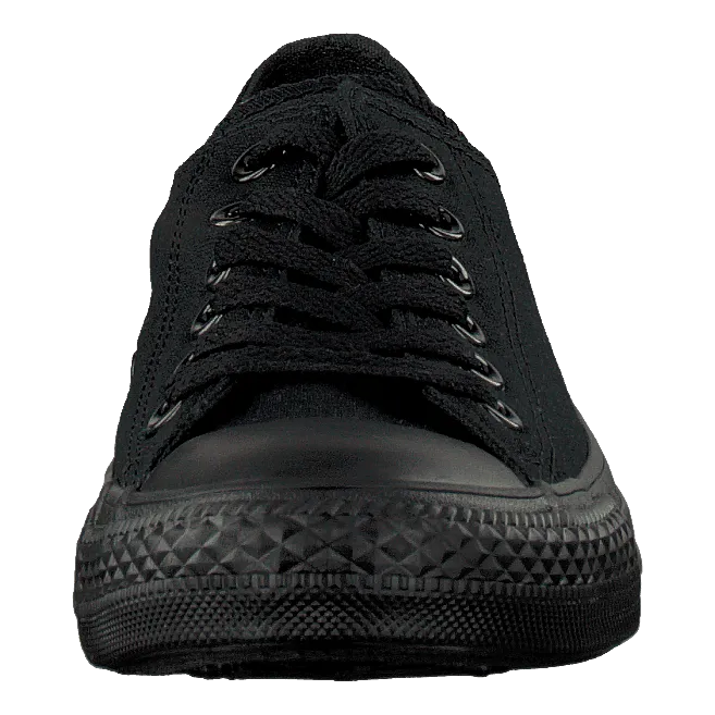 All Star Canvas Ox