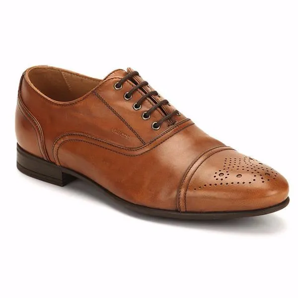 Faucibus Shoes