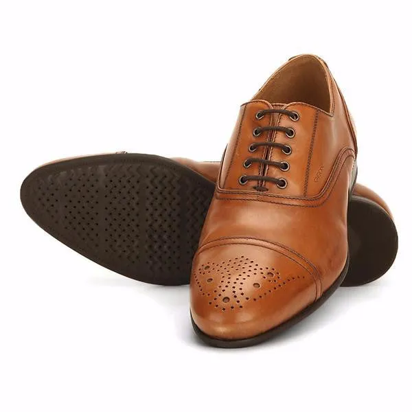 Faucibus Shoes