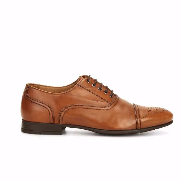 Faucibus Shoes