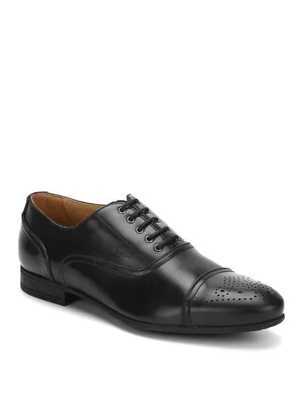 Faucibus Shoes
